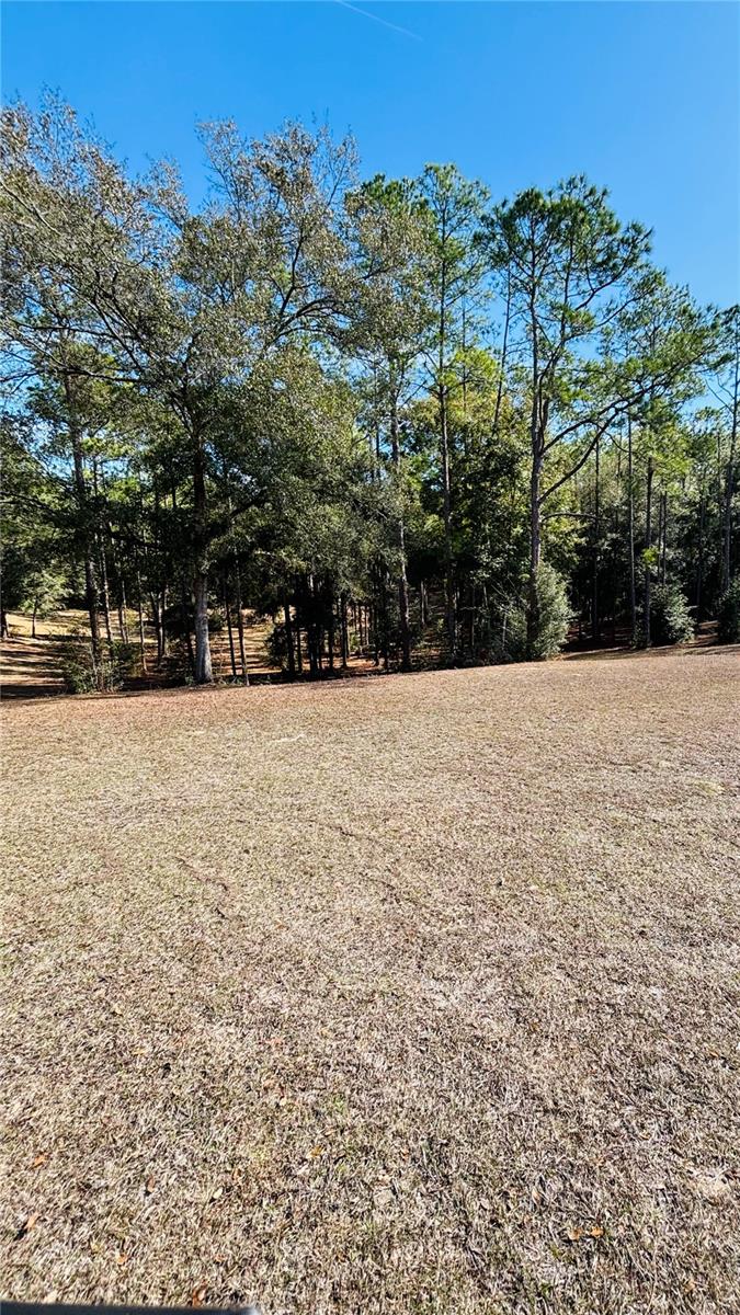 10196 N ACADEMY DR, DUNNELLON, FL, 34434