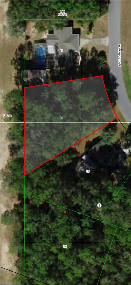 10196 N ACADEMY DR, DUNNELLON, FL, 34434