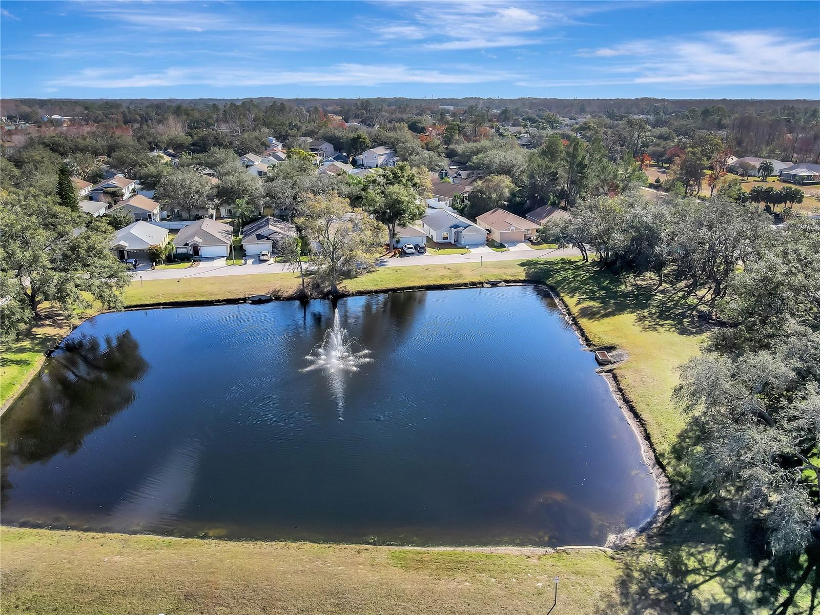 7736 CHADWICK DR, NEW PORT RICHEY, FL, 34654