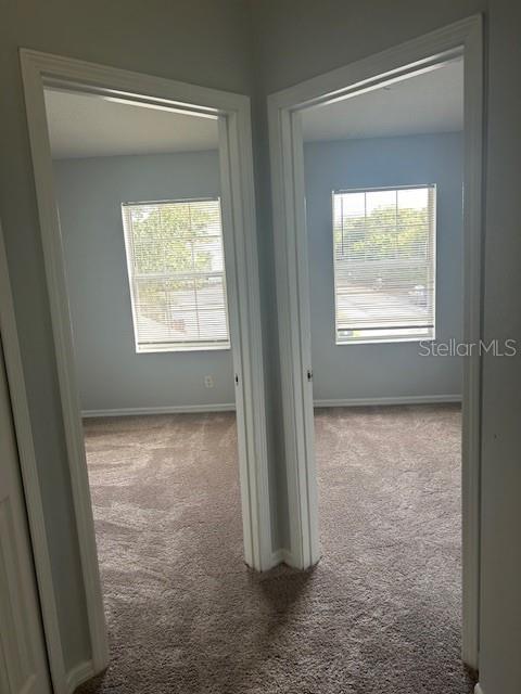 9904 CARLSDALE DR, RIVERVIEW, FL, 33578