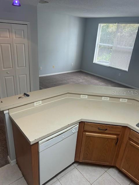 9904 CARLSDALE DR, RIVERVIEW, FL, 33578