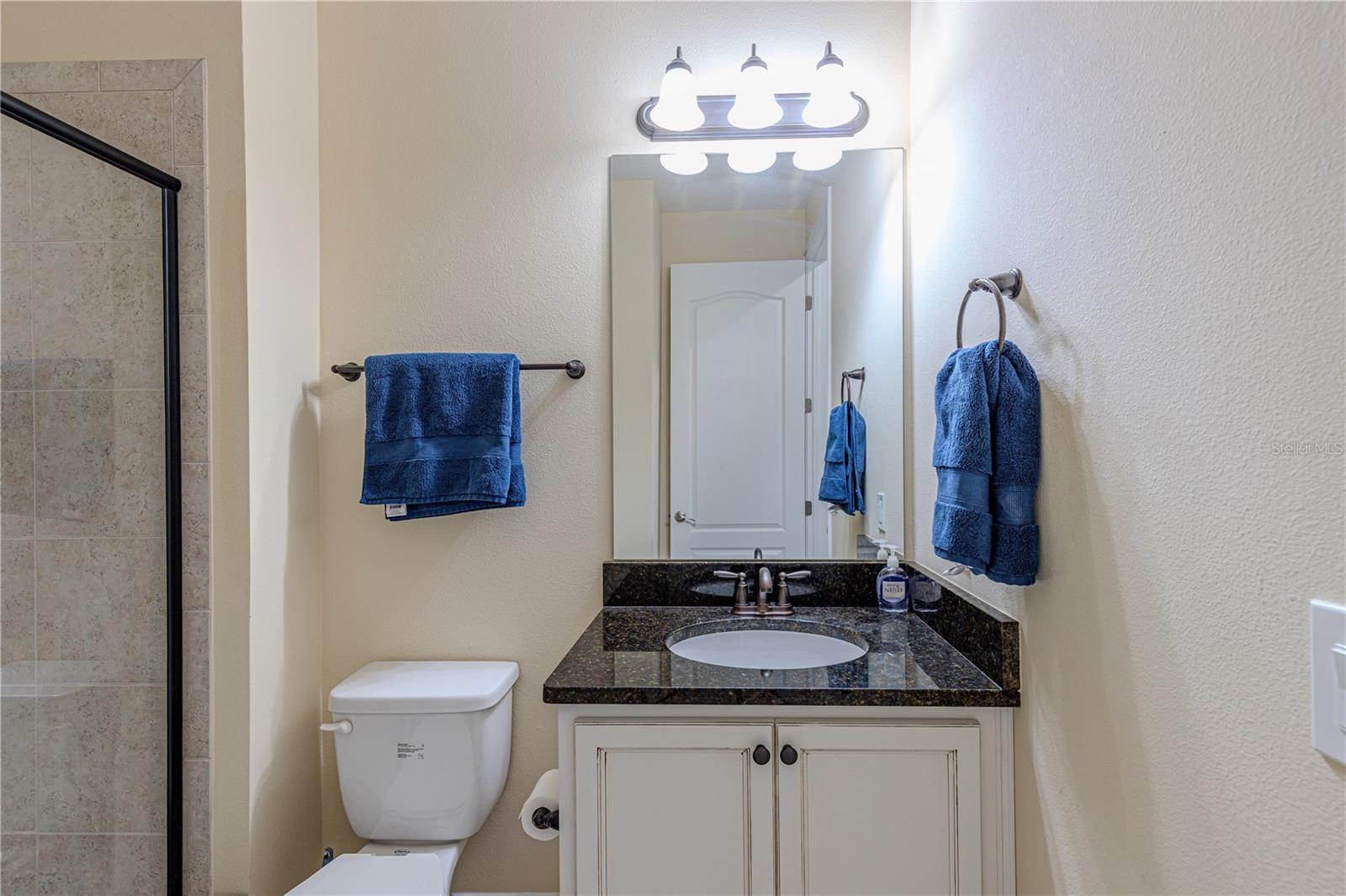 12964 BRANDON COATES DR, ORLANDO, FL, 32828