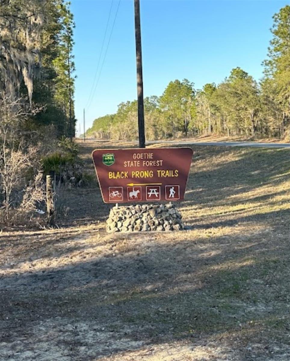 SW 175TH CT, DUNNELLON, FL, 34432