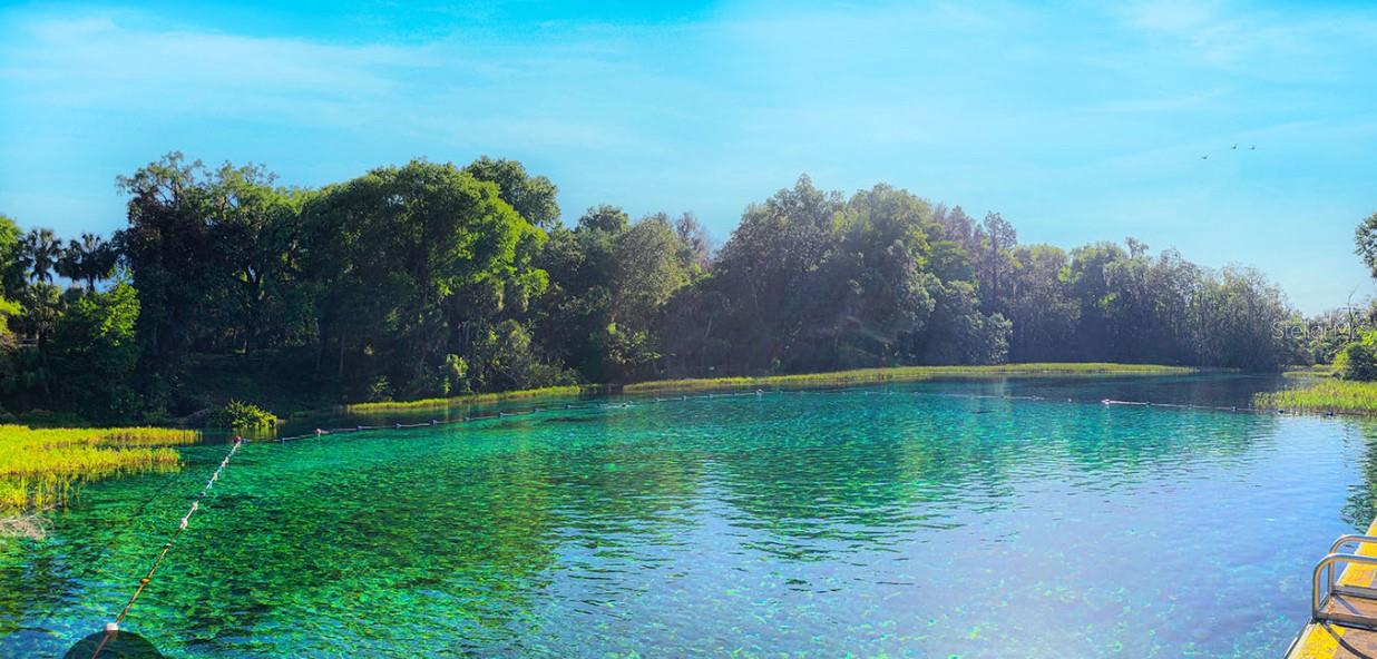 SW 175TH CT, DUNNELLON, FL, 34432