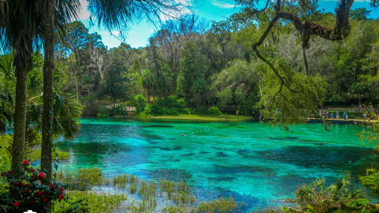 SW 175TH CT, DUNNELLON, FL, 34432