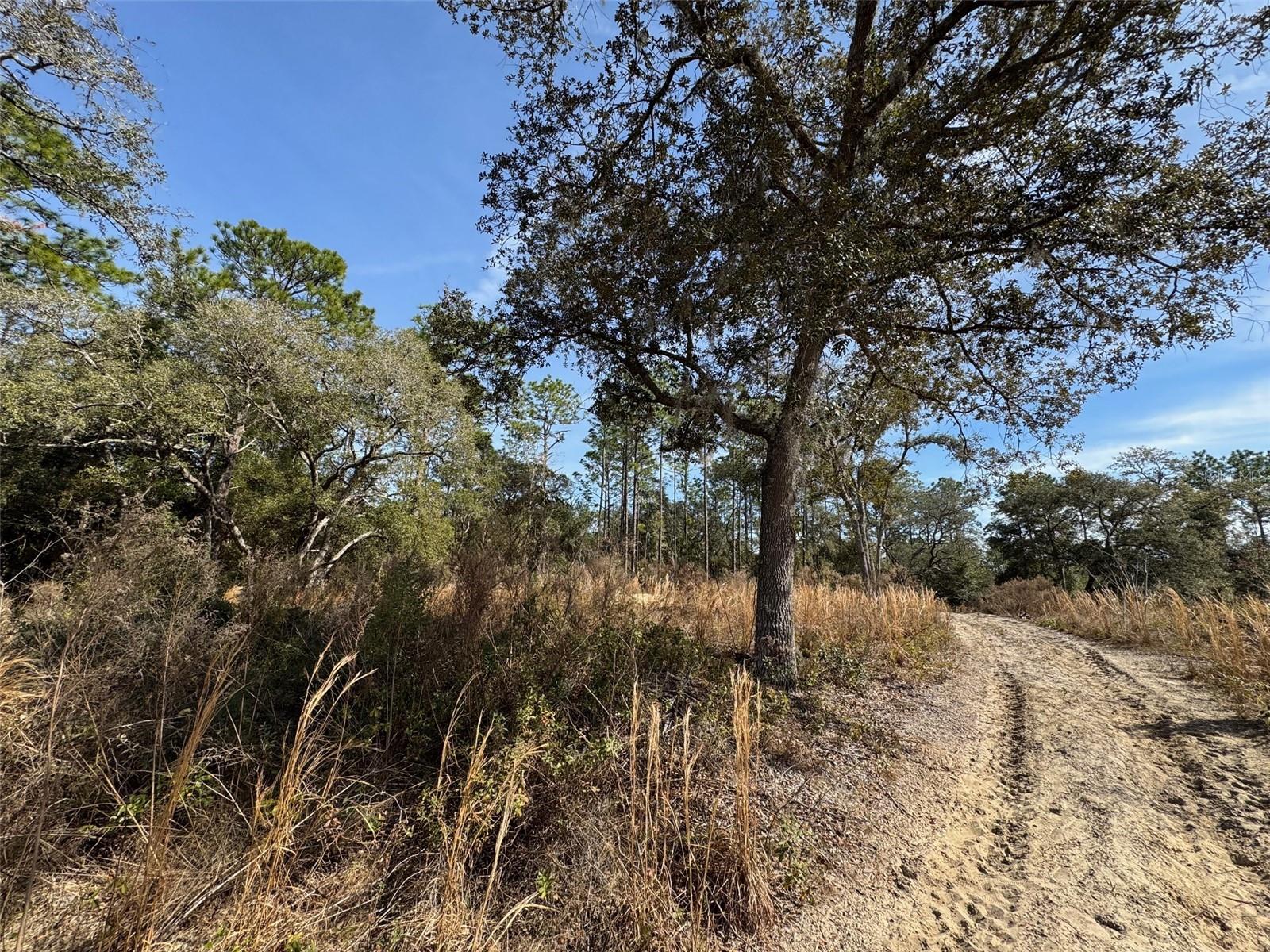 SW 175TH CT, DUNNELLON, FL, 34432