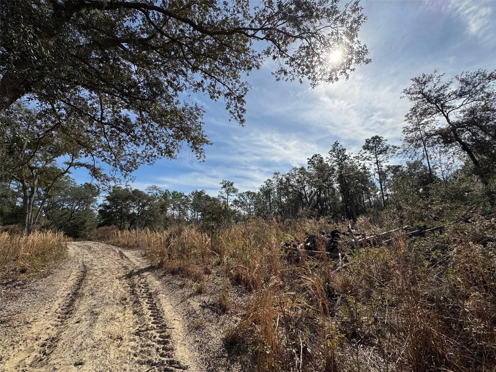 SW 175TH CT, DUNNELLON, FL, 34432