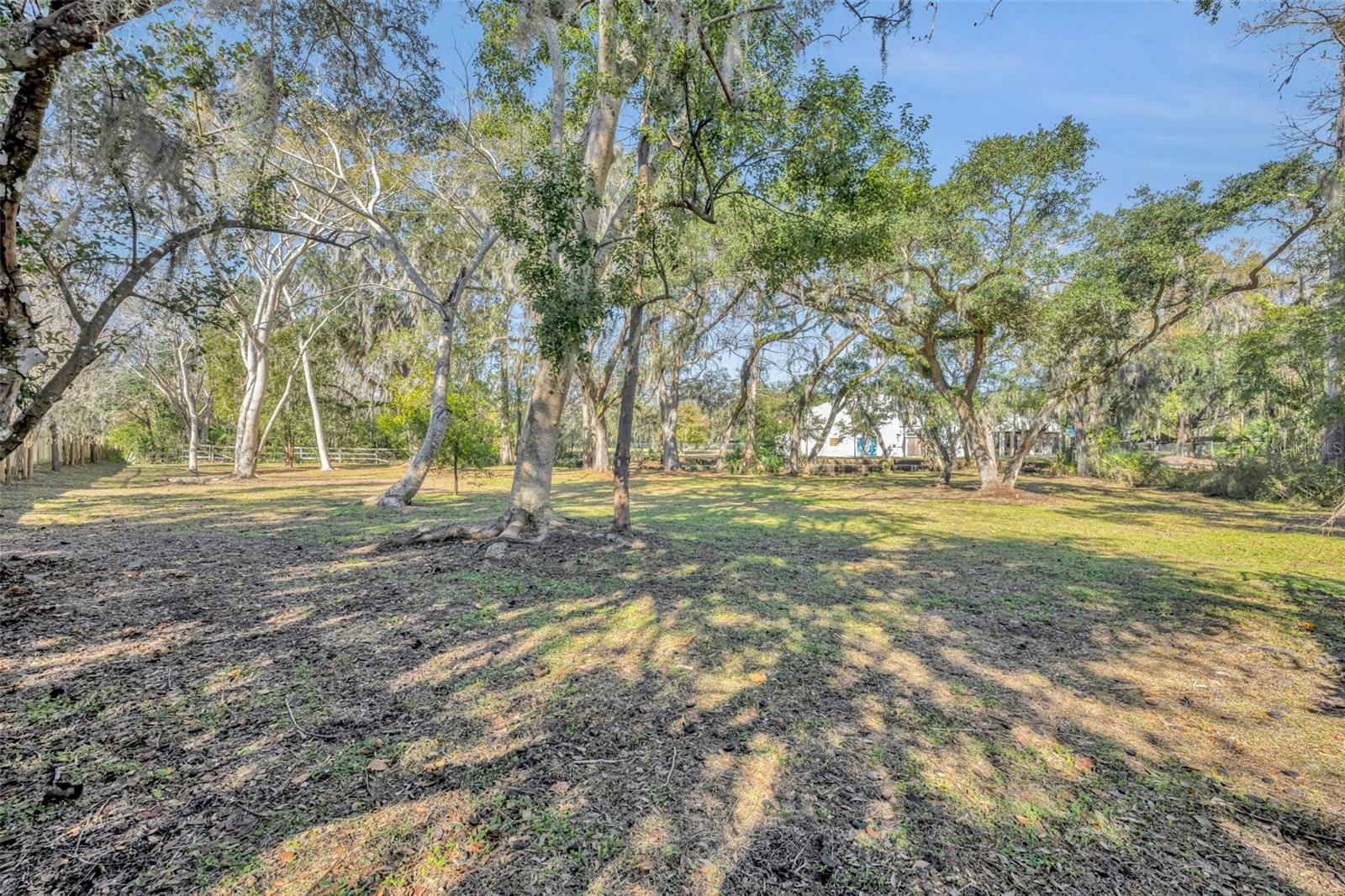 2323 TUSKAWILLA RD, OVIEDO, FL, 32765