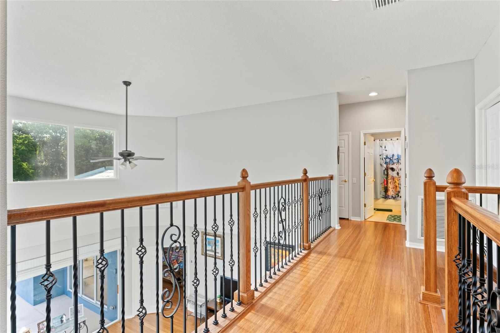 12833 DARBY RIDGE DR, TAMPA, FL, 33624