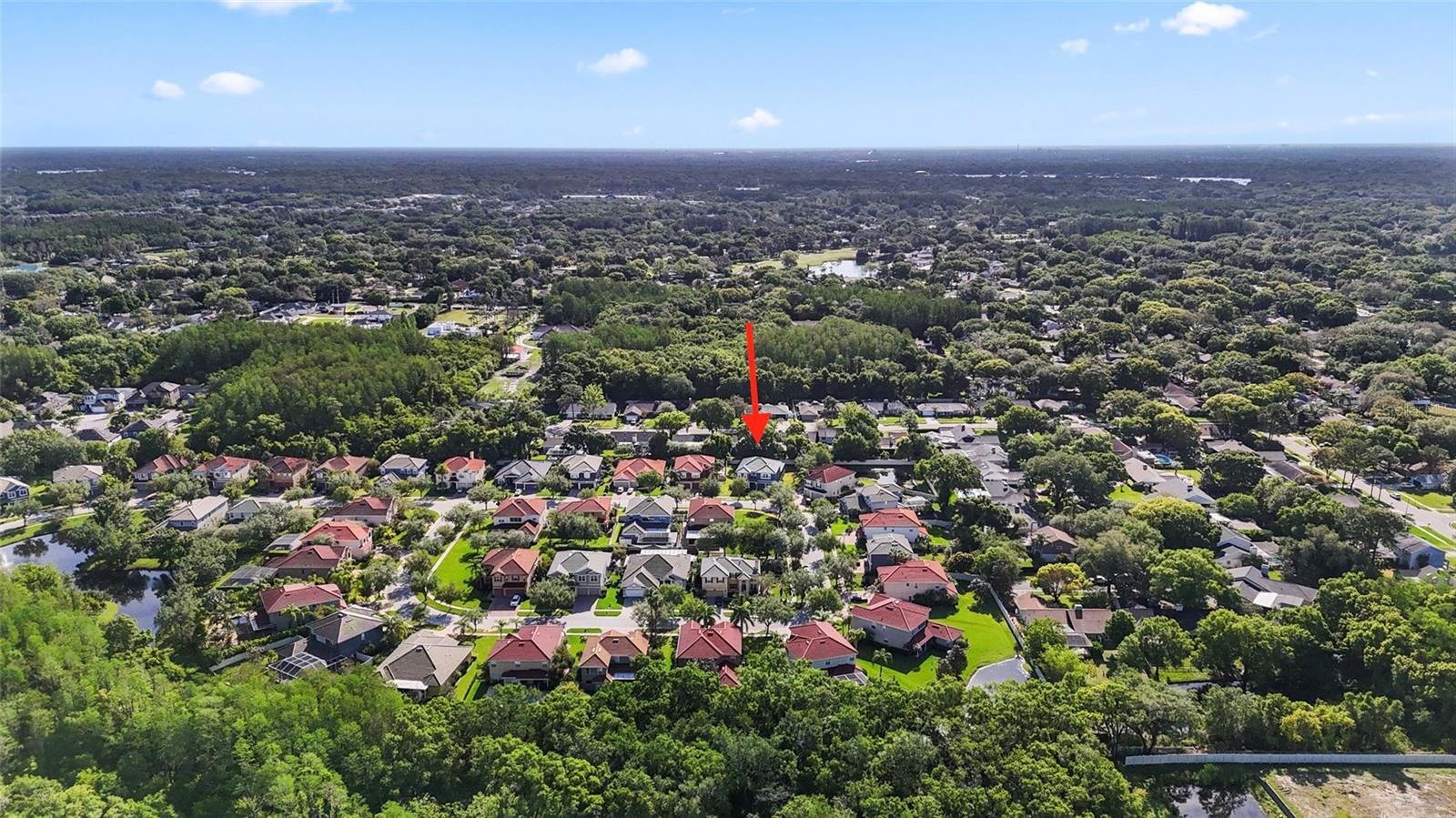 12833 DARBY RIDGE DR, TAMPA, FL, 33624