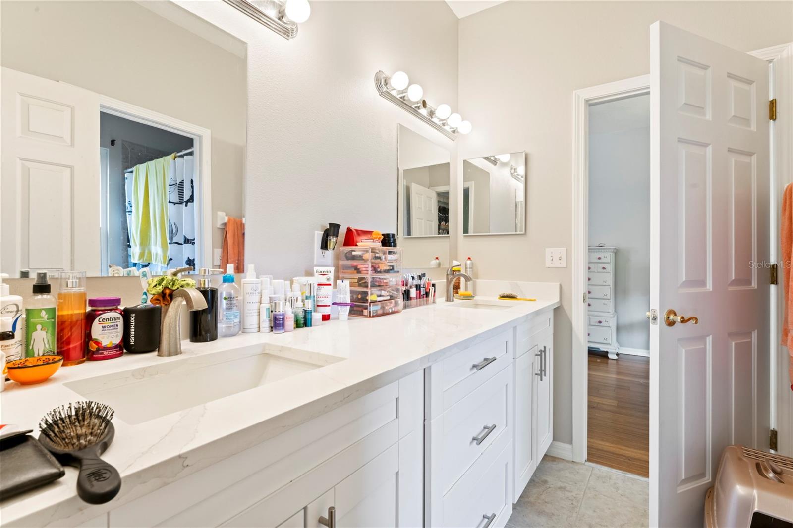 12833 DARBY RIDGE DR, TAMPA, FL, 33624