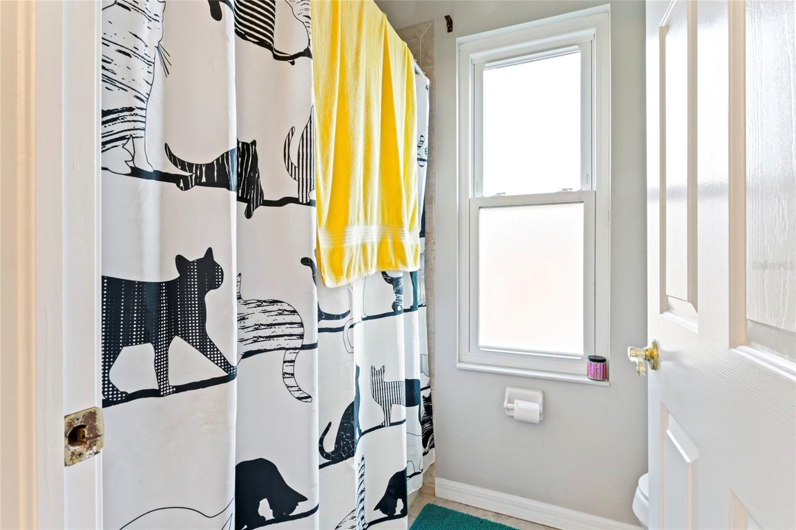 12833 DARBY RIDGE DR, TAMPA, FL, 33624