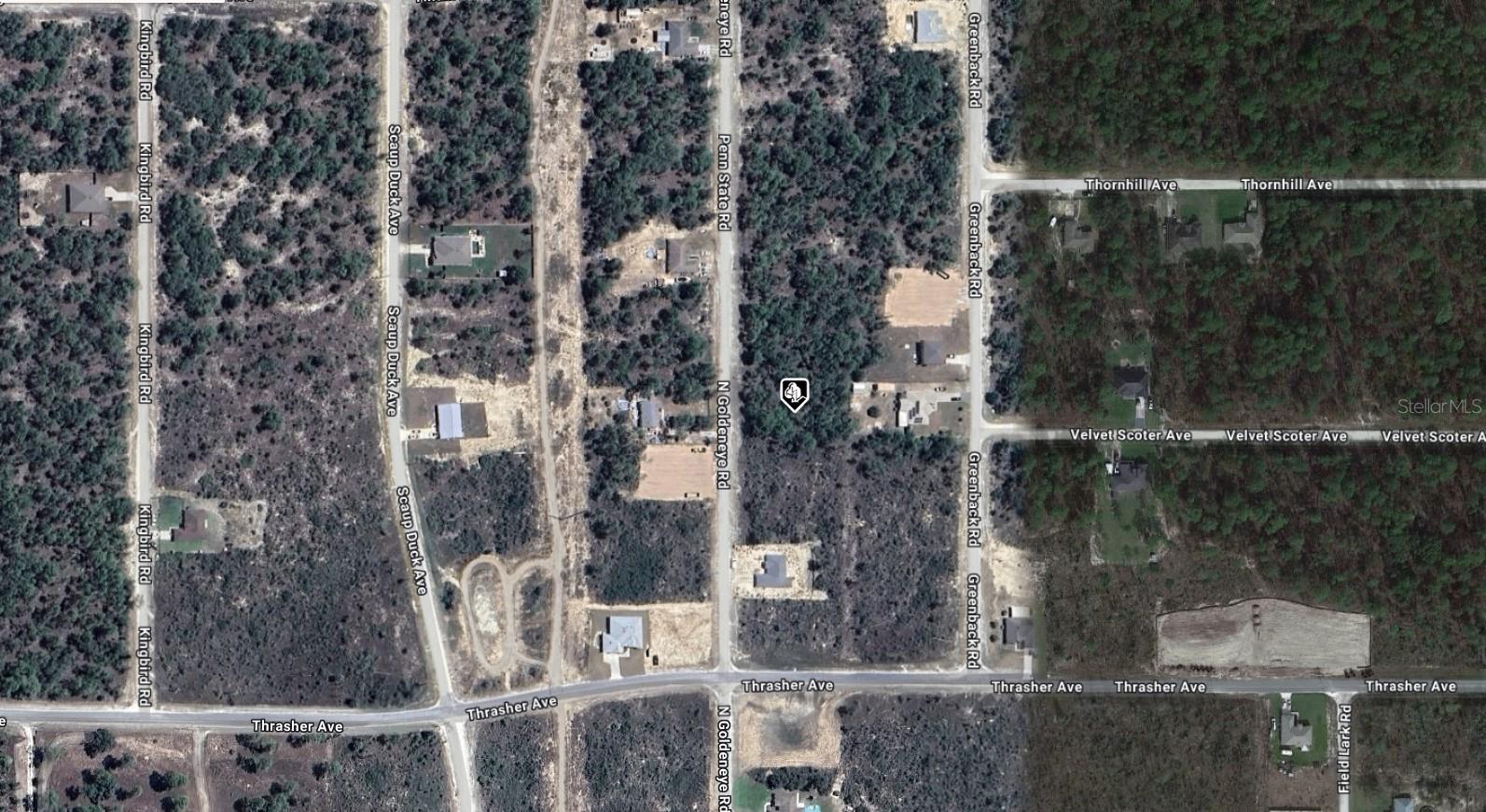 16284 PENN STATE RD, WEEKI WACHEE, FL, 34614