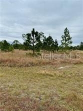 HALLMARK AVE, LEHIGH ACRES, FL, 33974