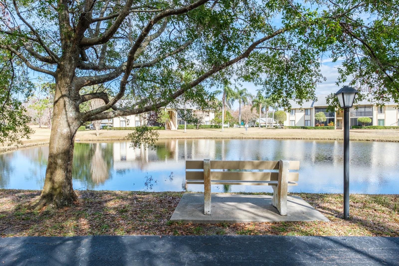 1398 SHADY PINE WAY #E3, TARPON SPRINGS, FL, 34688