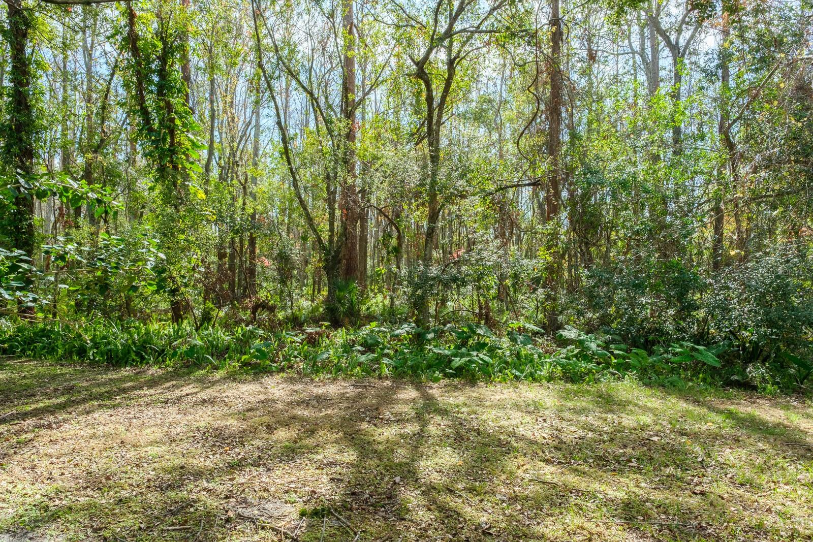 1398 SHADY PINE WAY #E3, TARPON SPRINGS, FL, 34688