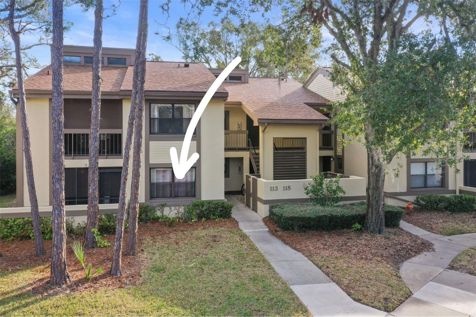 113 WOODLAKE WYNDE #19, OLDSMAR, FL, 34677