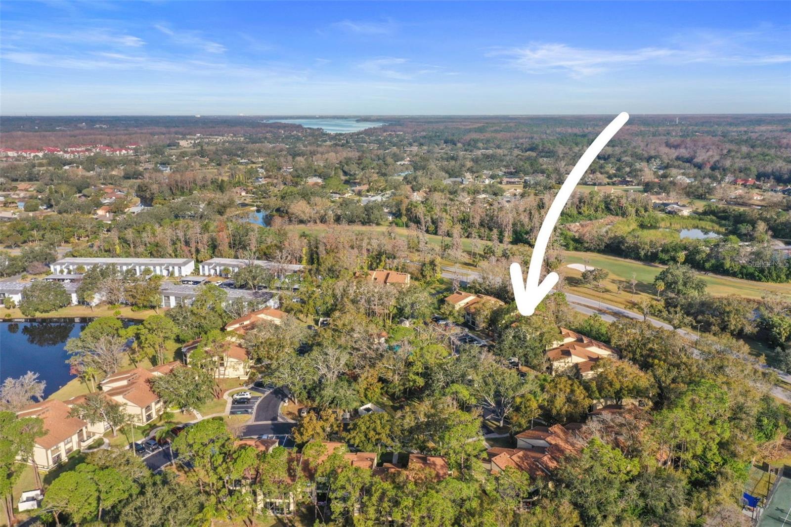 113 WOODLAKE WYNDE #19, OLDSMAR, FL, 34677