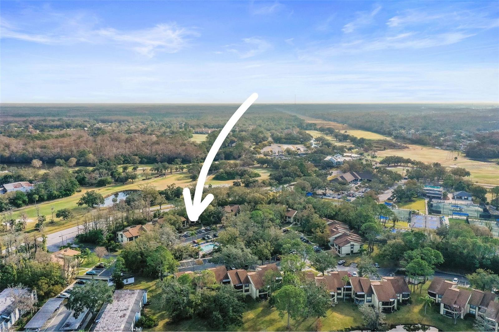 113 WOODLAKE WYNDE #19, OLDSMAR, FL, 34677