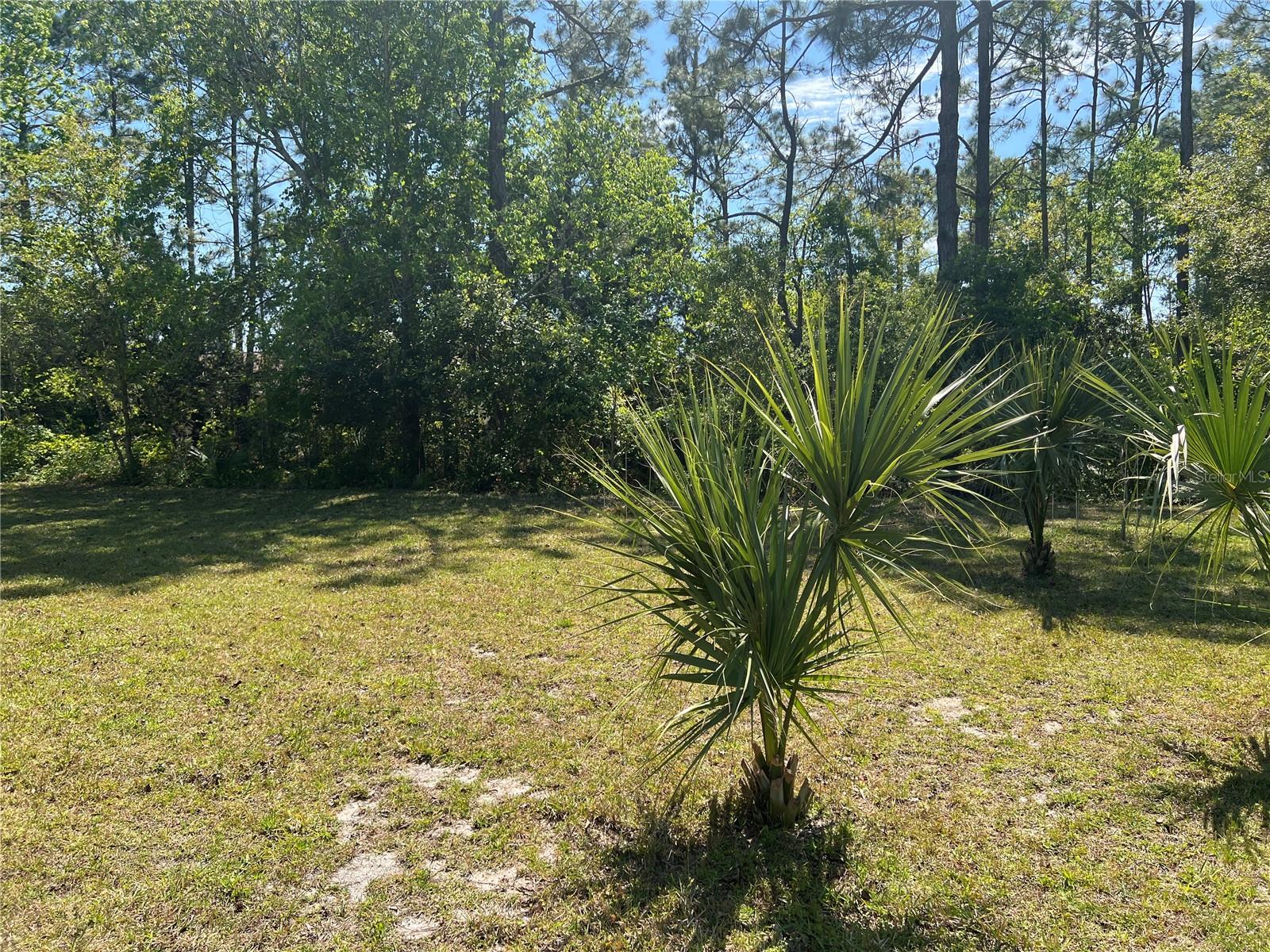 17 PRESIDENT LN, PALM COAST, FL, 32164