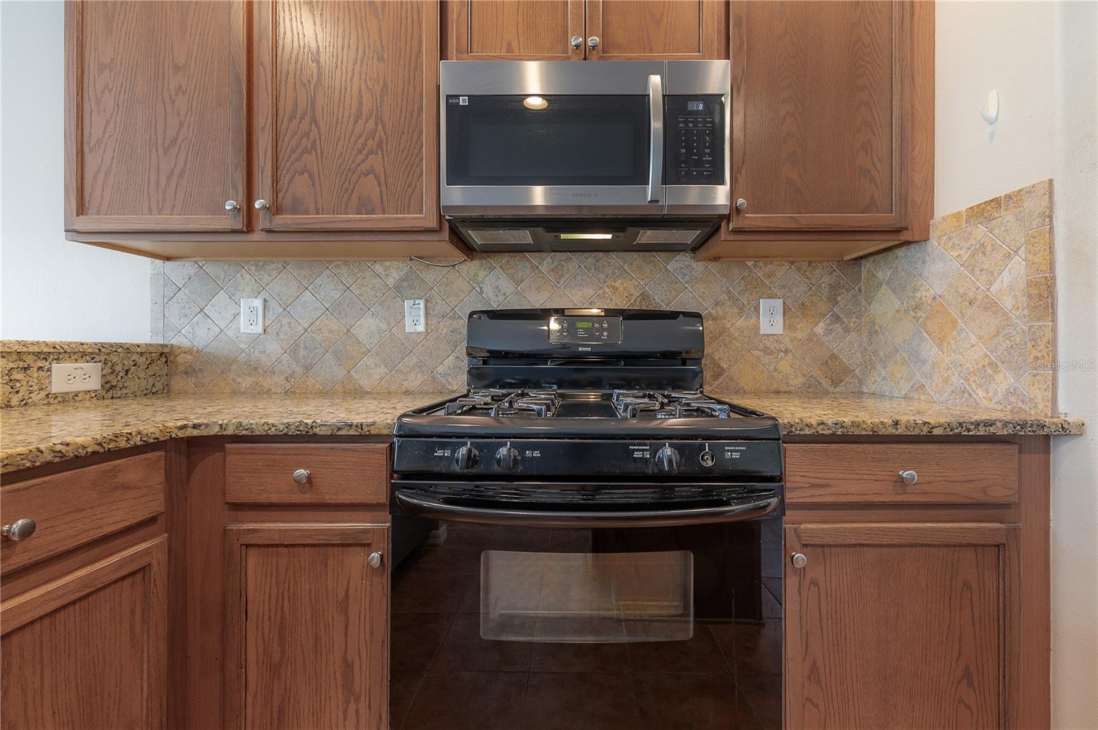 16014 PALMETTORUN CIR, LITHIA, FL, 33547