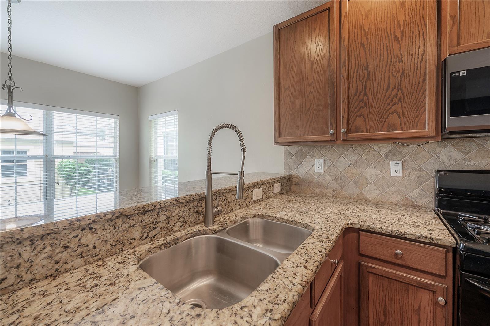 16014 PALMETTORUN CIR, LITHIA, FL, 33547