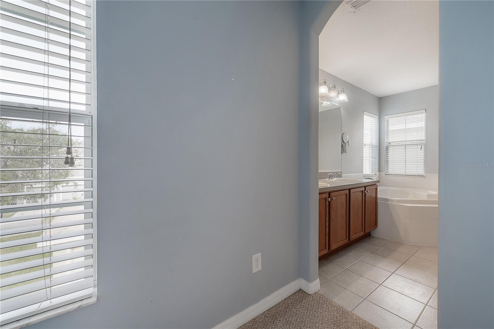 16014 PALMETTORUN CIR, LITHIA, FL, 33547