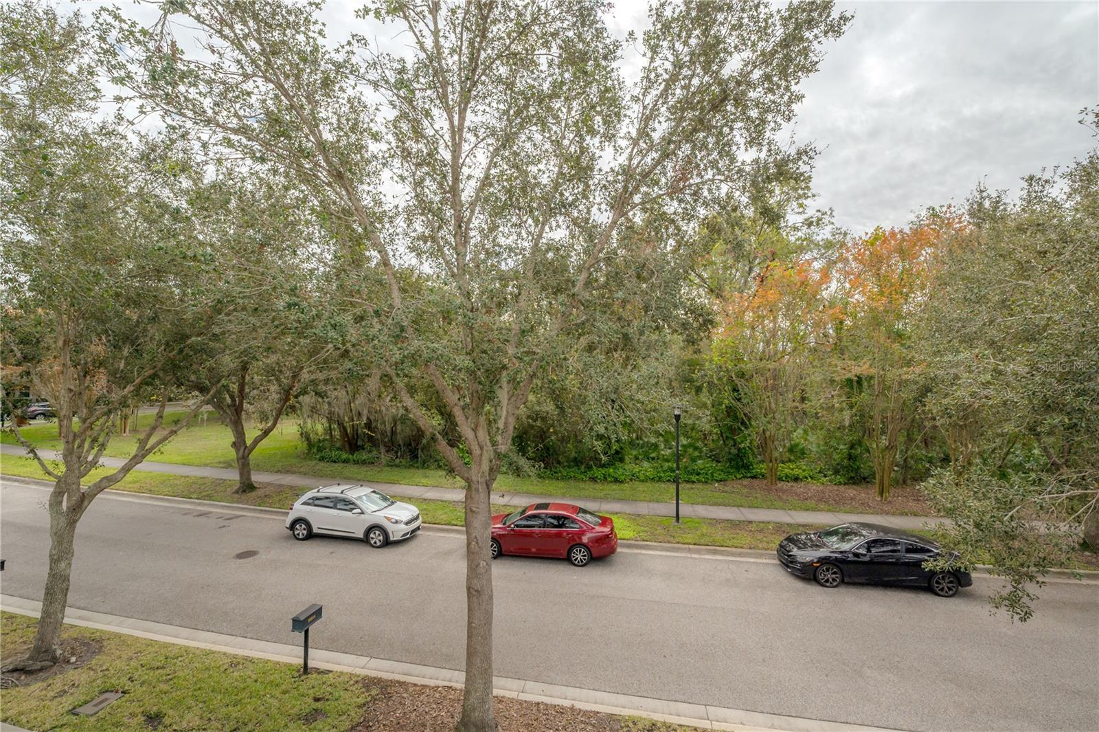 16014 PALMETTORUN CIR, LITHIA, FL, 33547