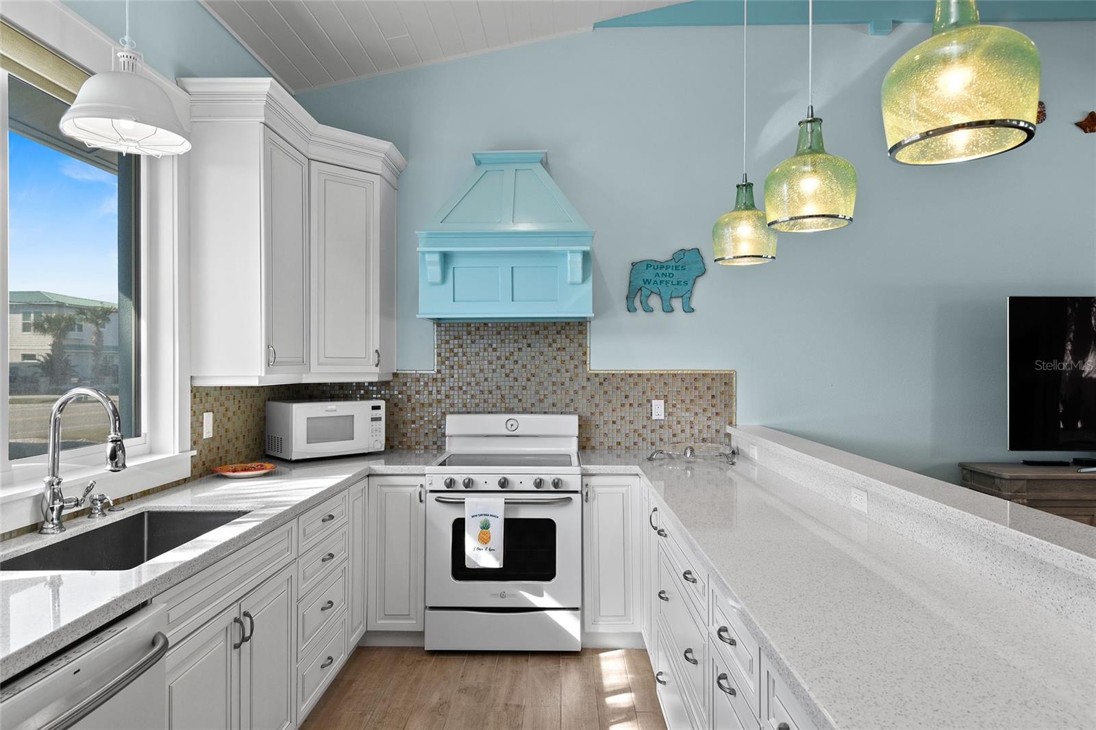 6111 TURTLEMOUND RD, NEW SMYRNA BEACH, FL, 32169