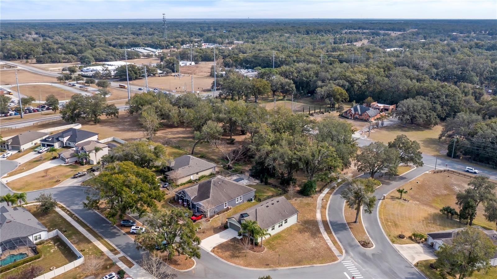 24414 WOODHILL CT, SORRENTO, FL, 32776