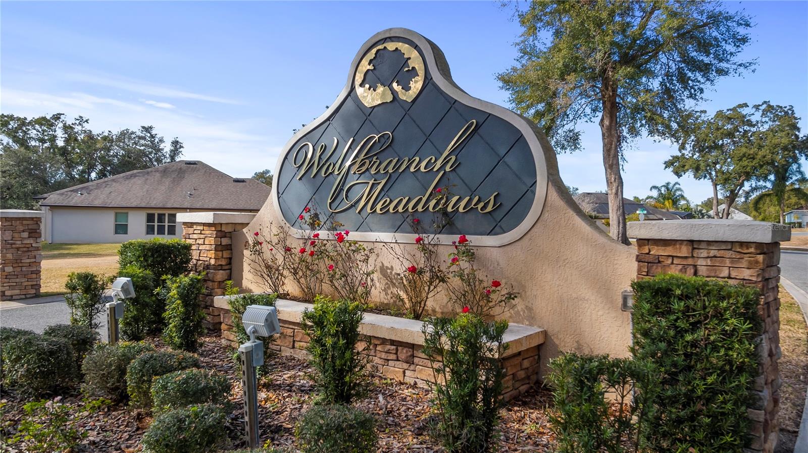 24414 WOODHILL CT, SORRENTO, FL, 32776