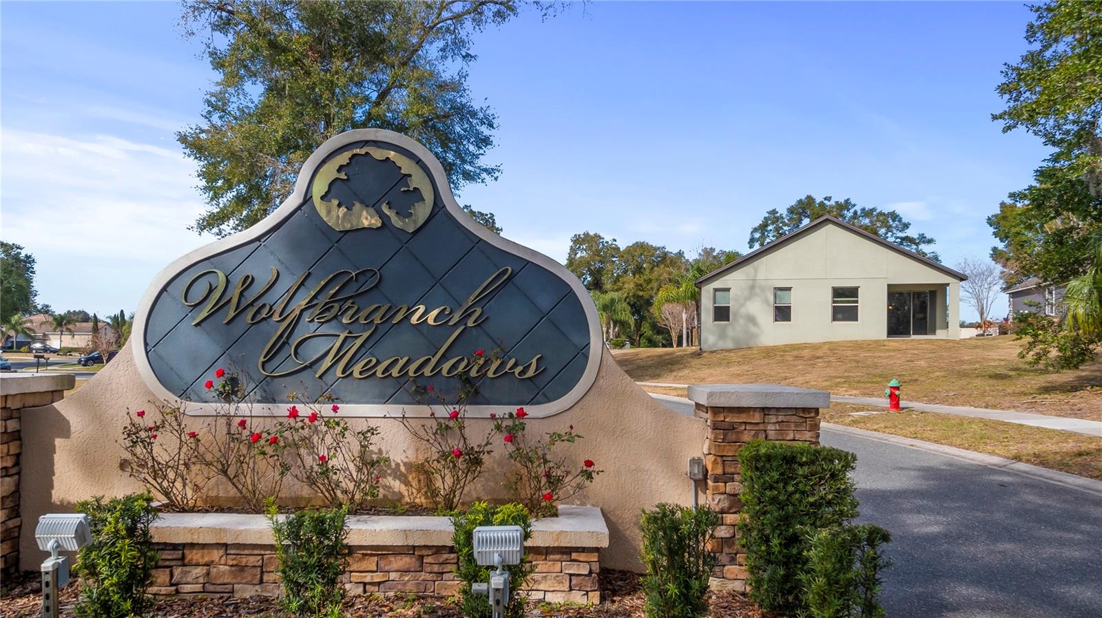 24414 WOODHILL CT, SORRENTO, FL, 32776