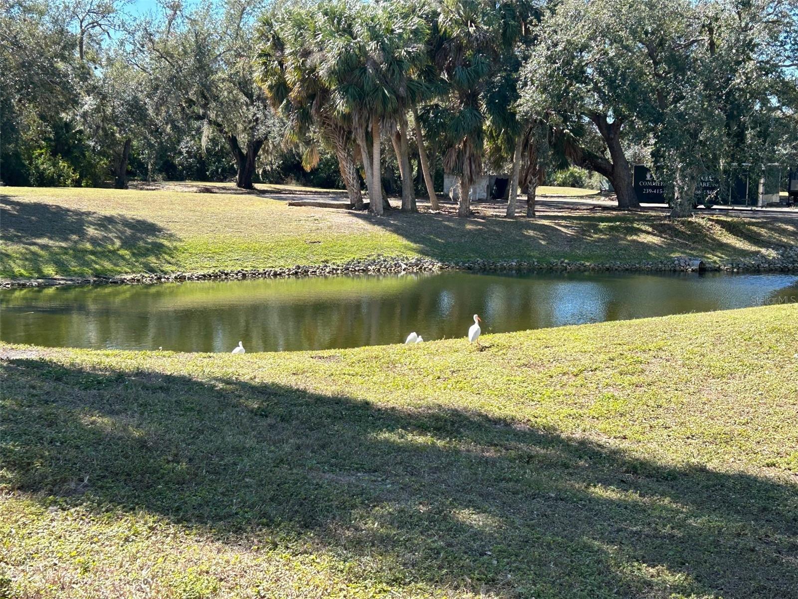 1051 FORREST NELSON BLVD #103, PORT CHARLOTTE, FL, 33952