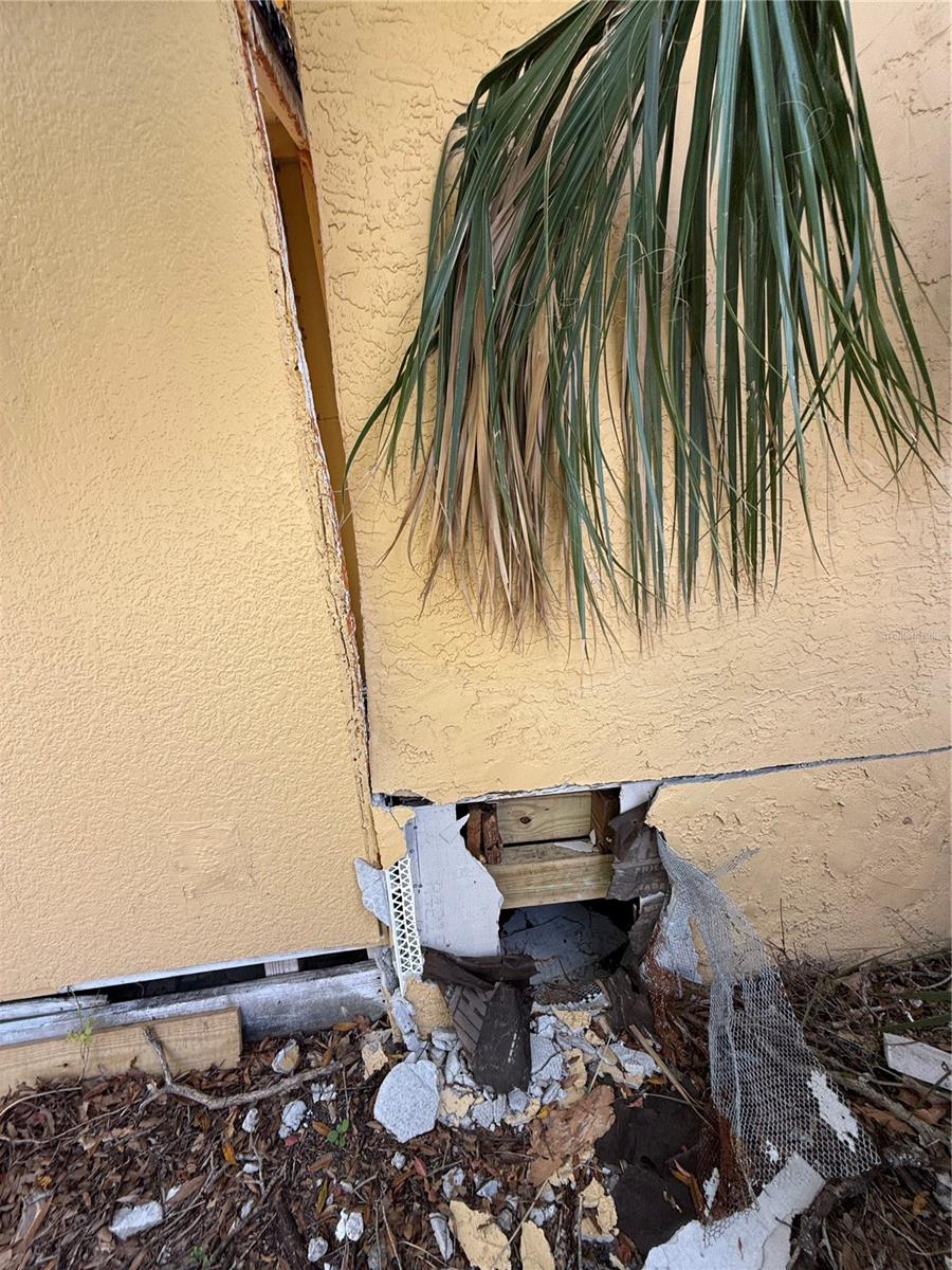 901 VINE AVE, CLEARWATER, FL, 33755