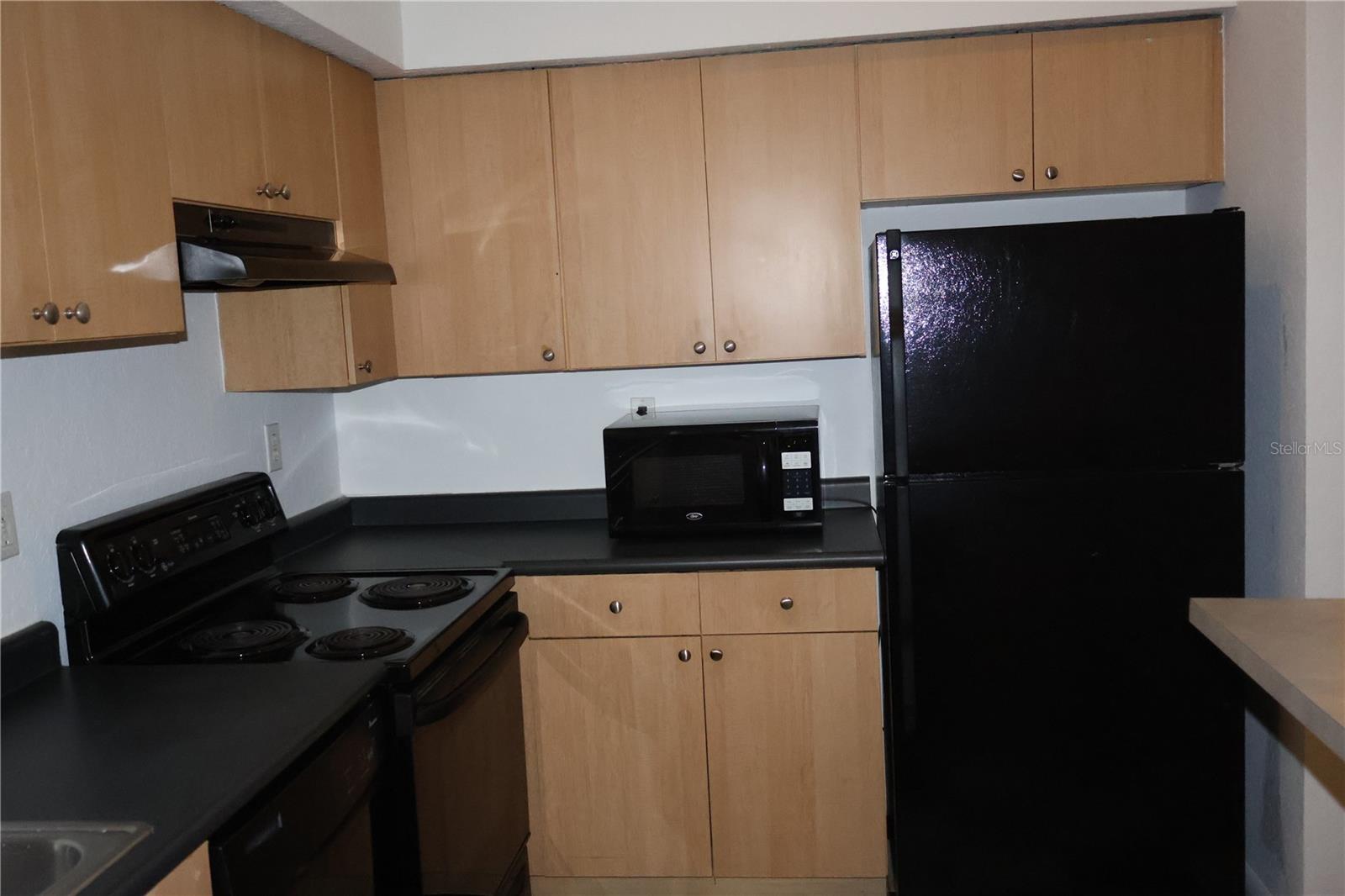 2402 W AZEELE ST #410, TAMPA, FL, 33609