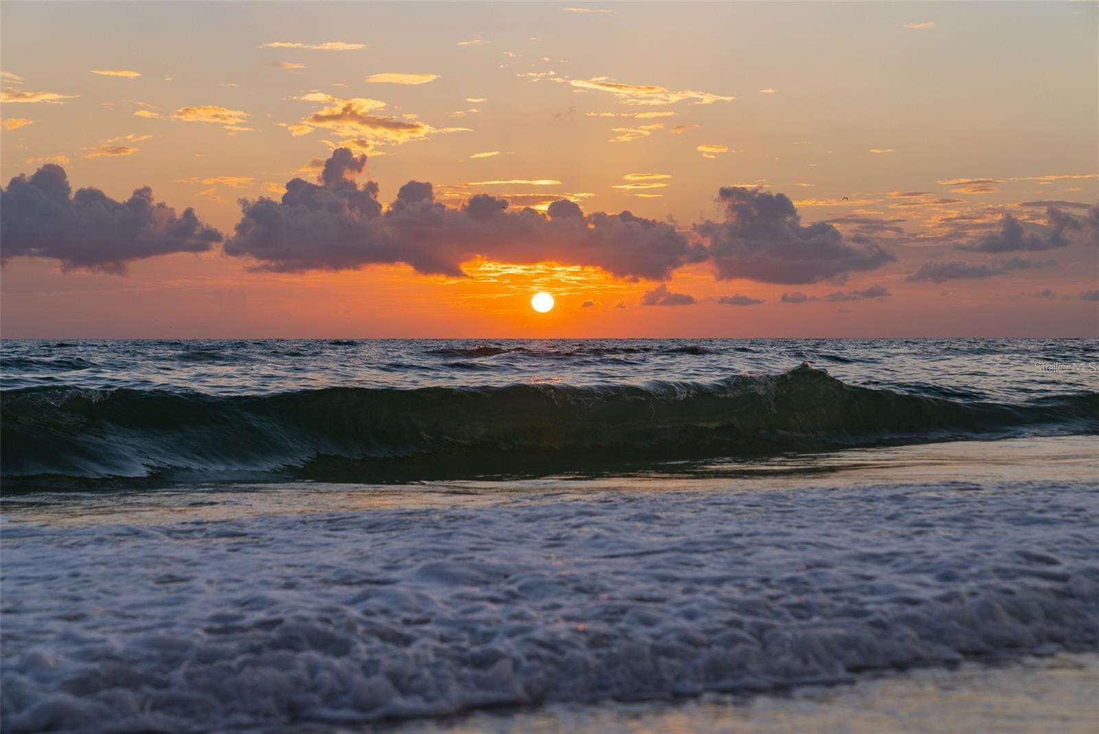 238 OAK AVE, ANNA MARIA, FL, 34216