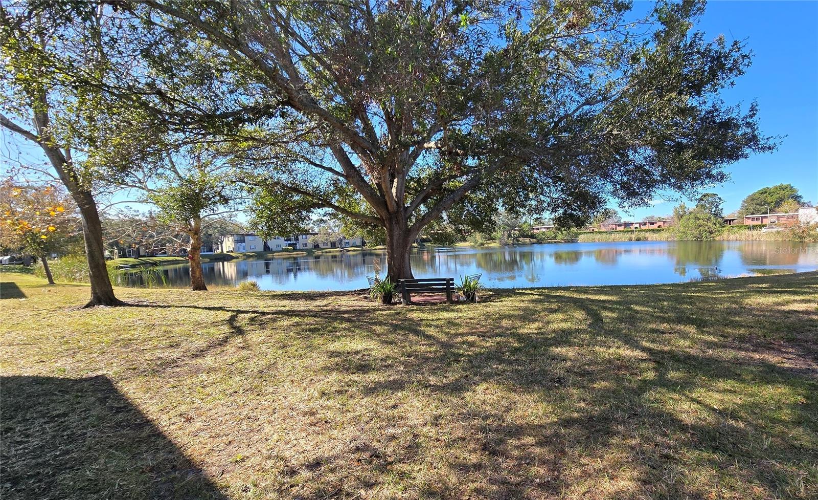 833 N KEENE RD #W12, CLEARWATER, FL, 33755