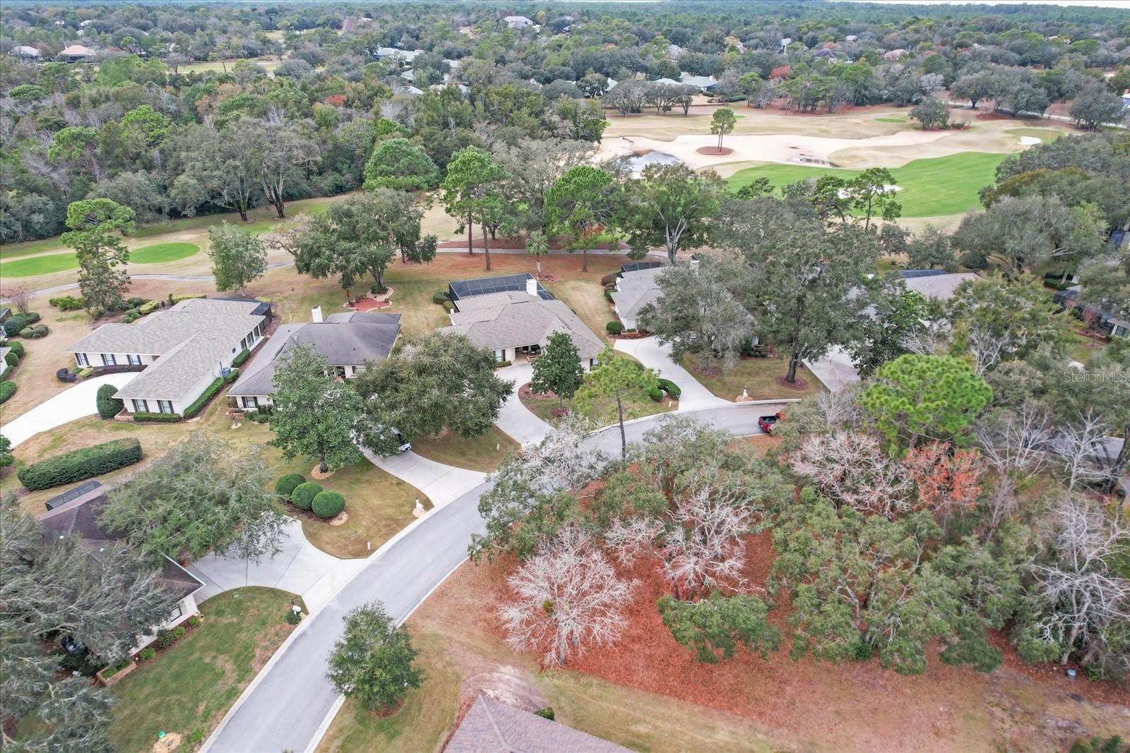 3398 N BENT TREE PT, LECANTO, FL, 34461