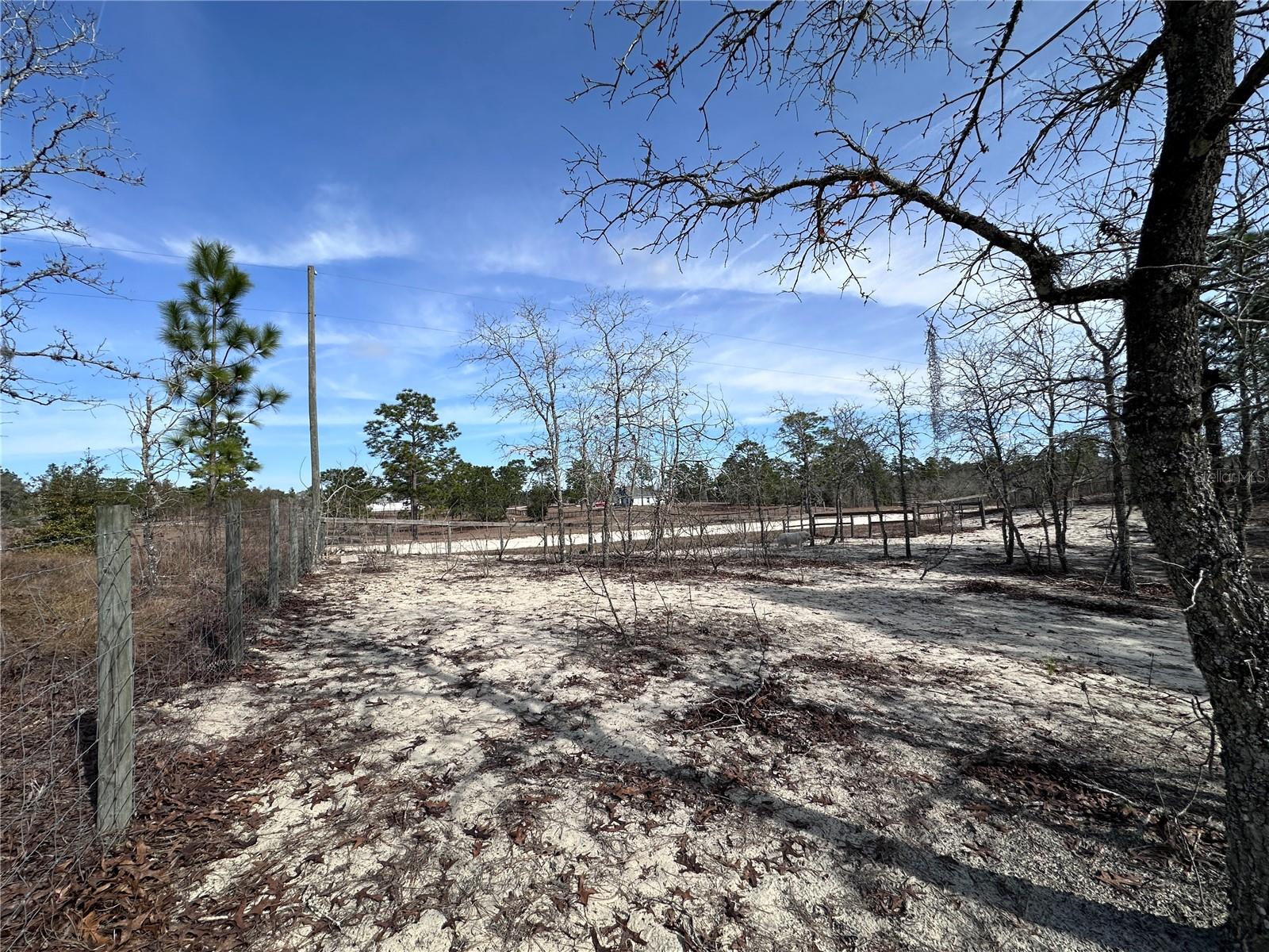 TBD SE 73RD LN, MORRISTON, FL, 32668