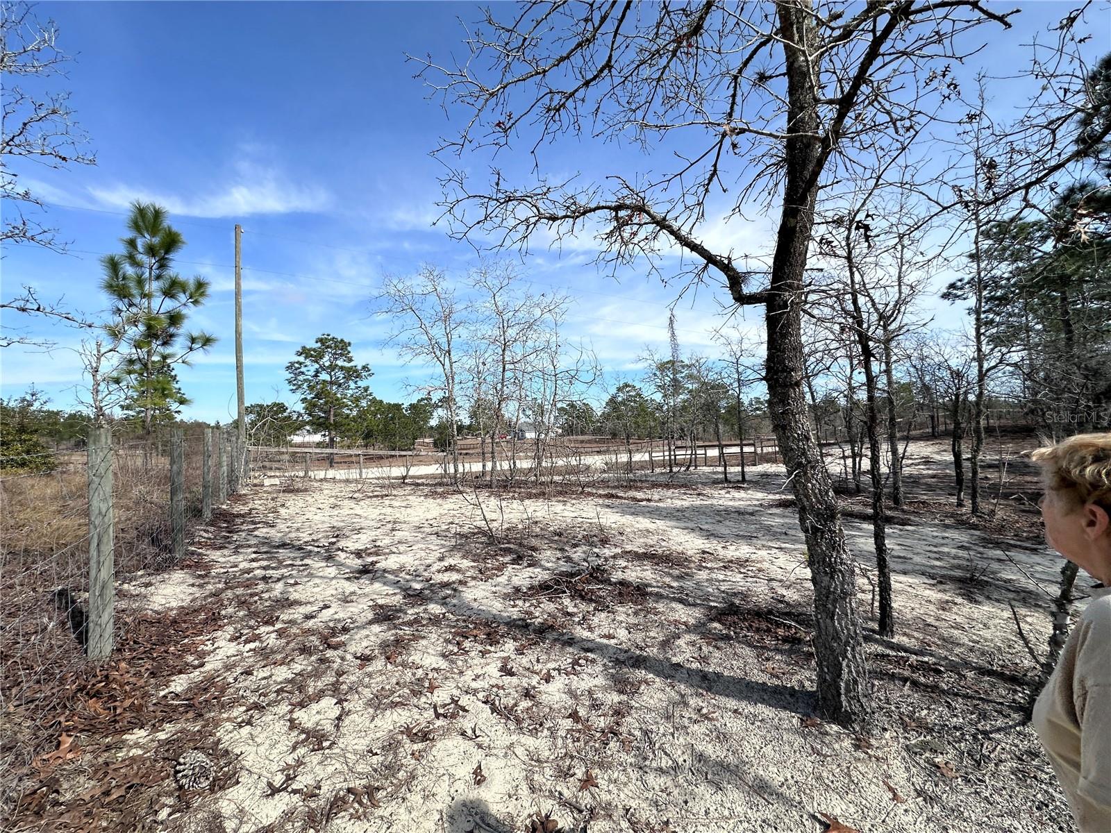 TBD SE 73RD LN, MORRISTON, FL, 32668