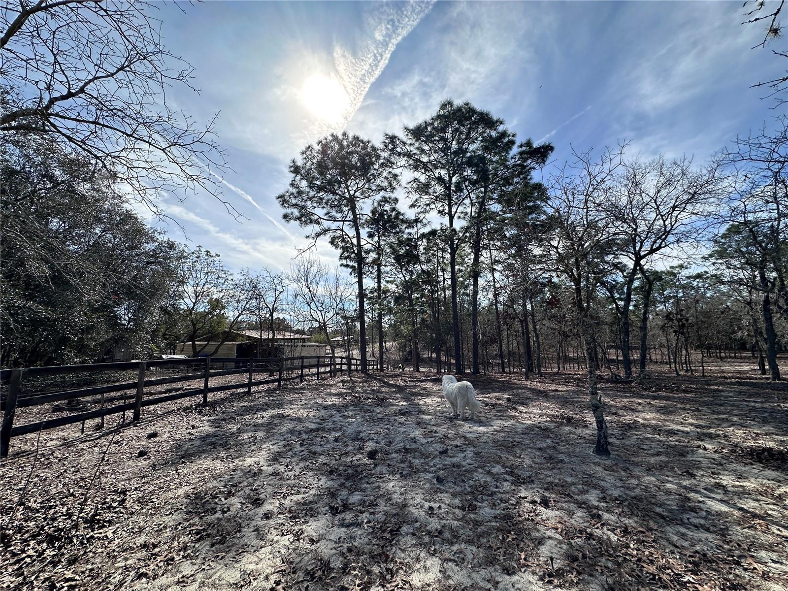 TBD SE 73RD LN, MORRISTON, FL, 32668