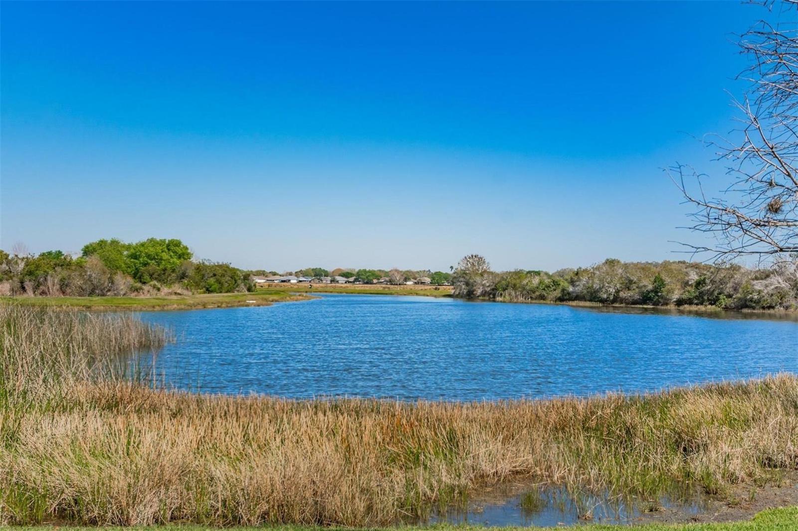 4517 KENNEWICK PL, RIVERVIEW, FL, 33578