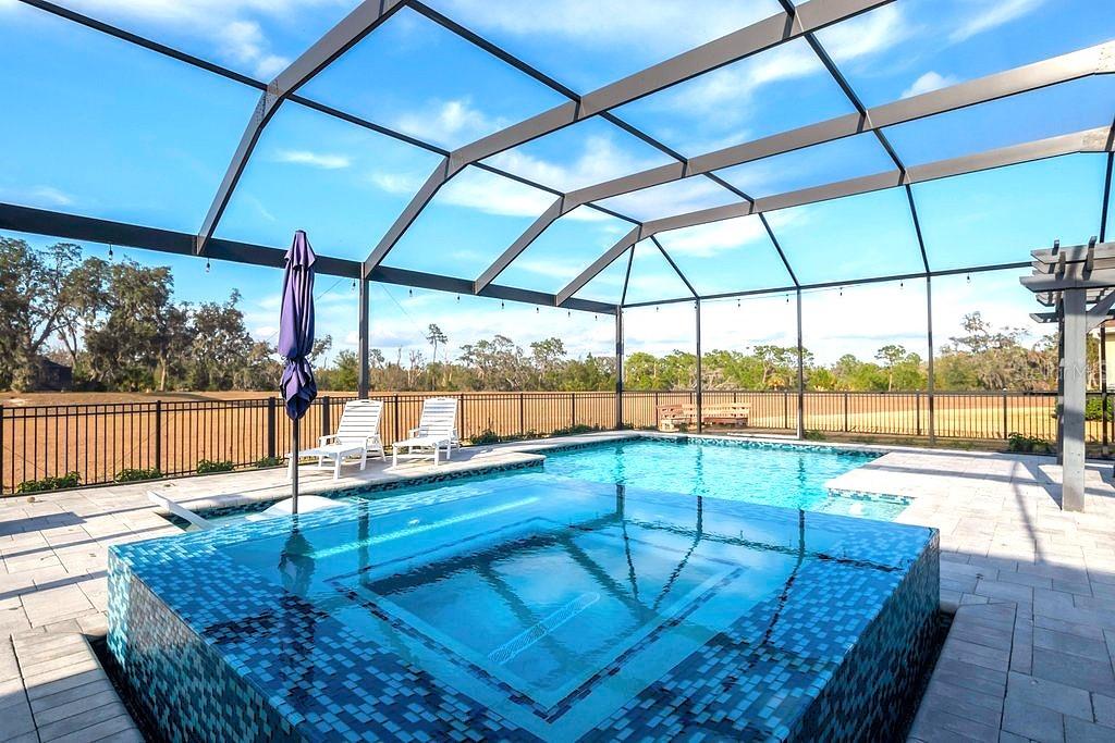 14214 QUINTESSA LN, LITHIA, FL, 33547