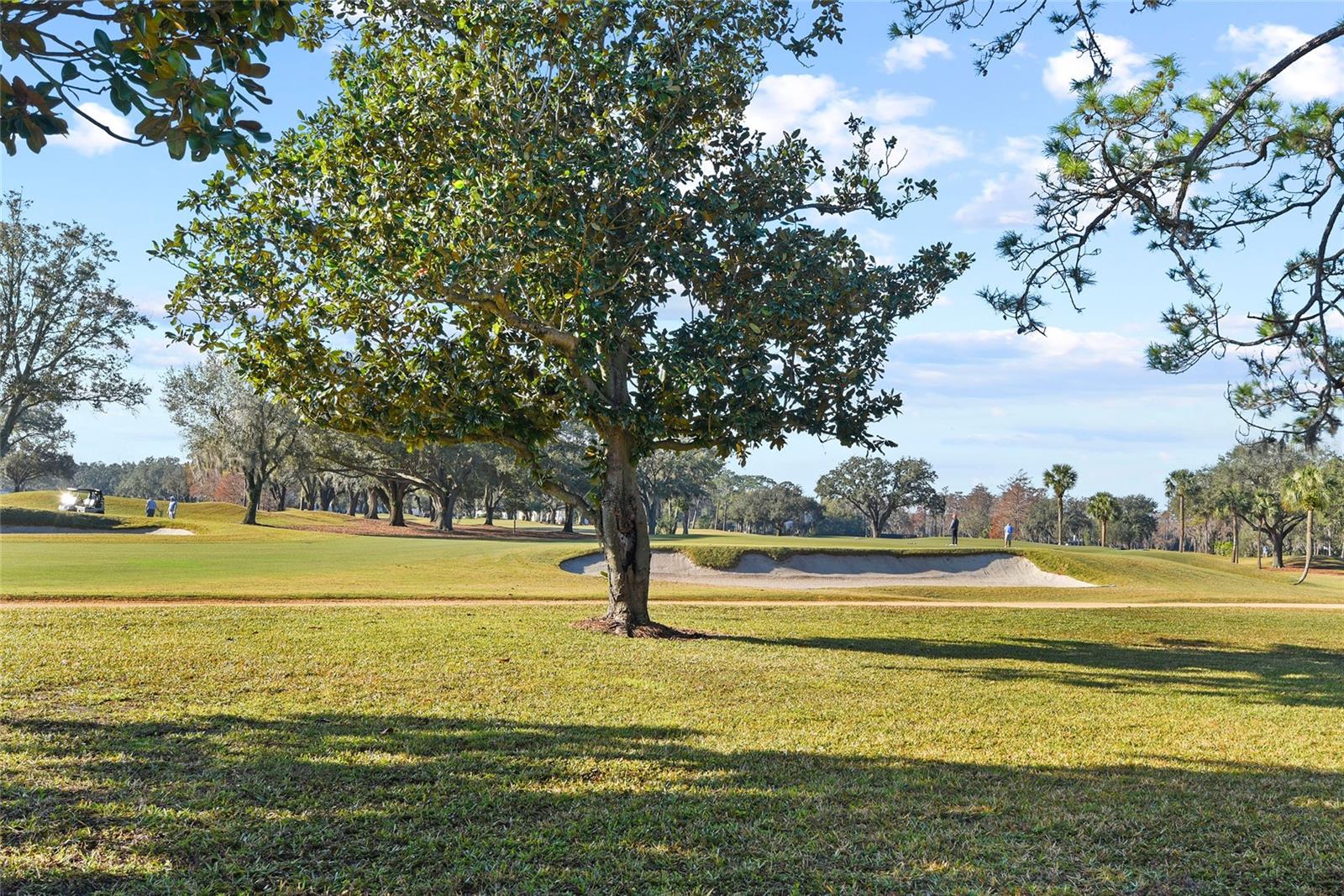 1812 TURNBERRY TER, ORLANDO, FL, 32804