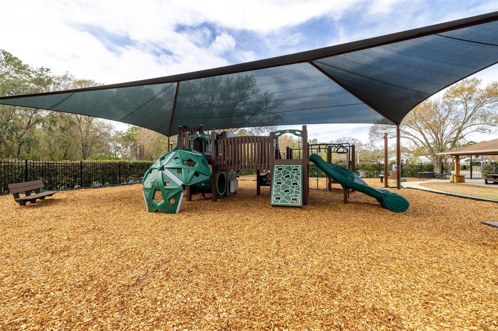 15910 MUIRFIELD DR, ODESSA, FL, 33556