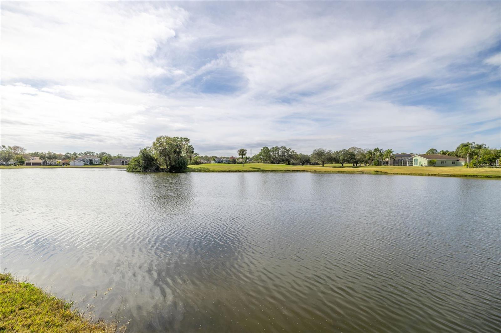 15910 MUIRFIELD DR, ODESSA, FL, 33556