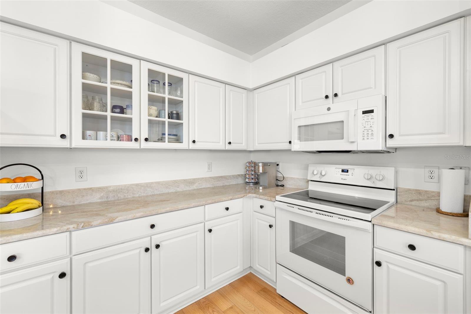 15910 MUIRFIELD DR, ODESSA, FL, 33556