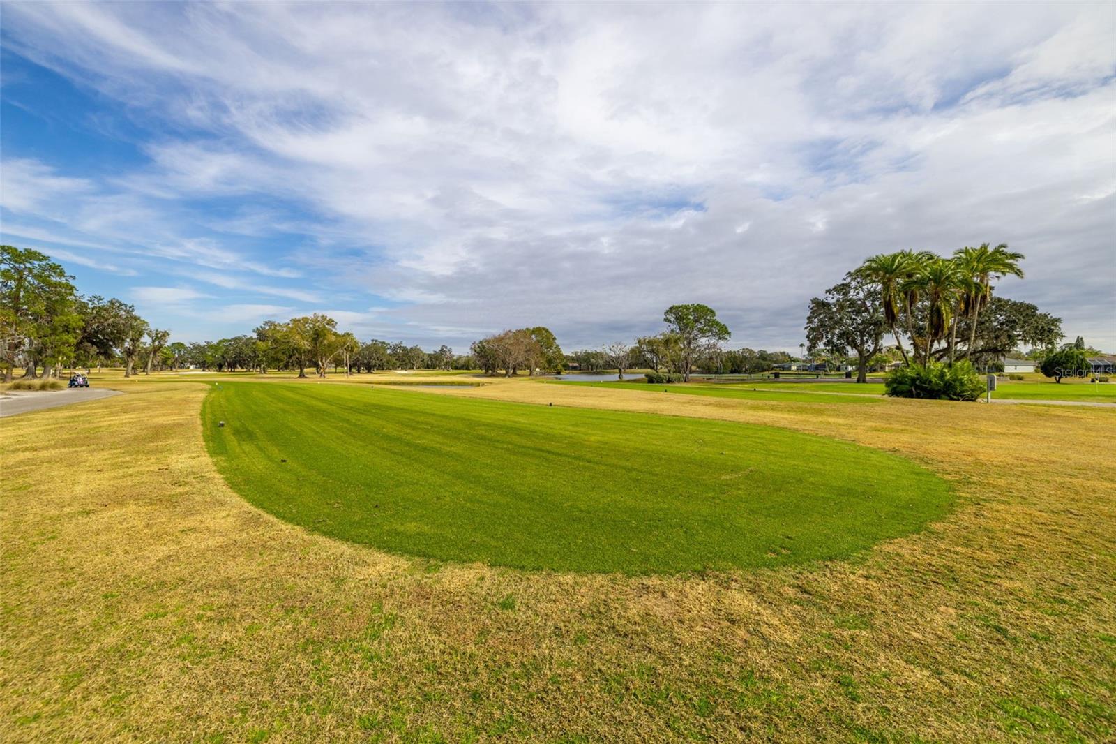 15910 MUIRFIELD DR, ODESSA, FL, 33556