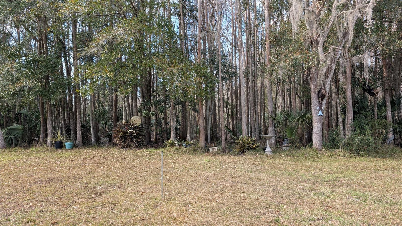 26341 DAYFLOWER BLVD, WESLEY CHAPEL, FL, 33544