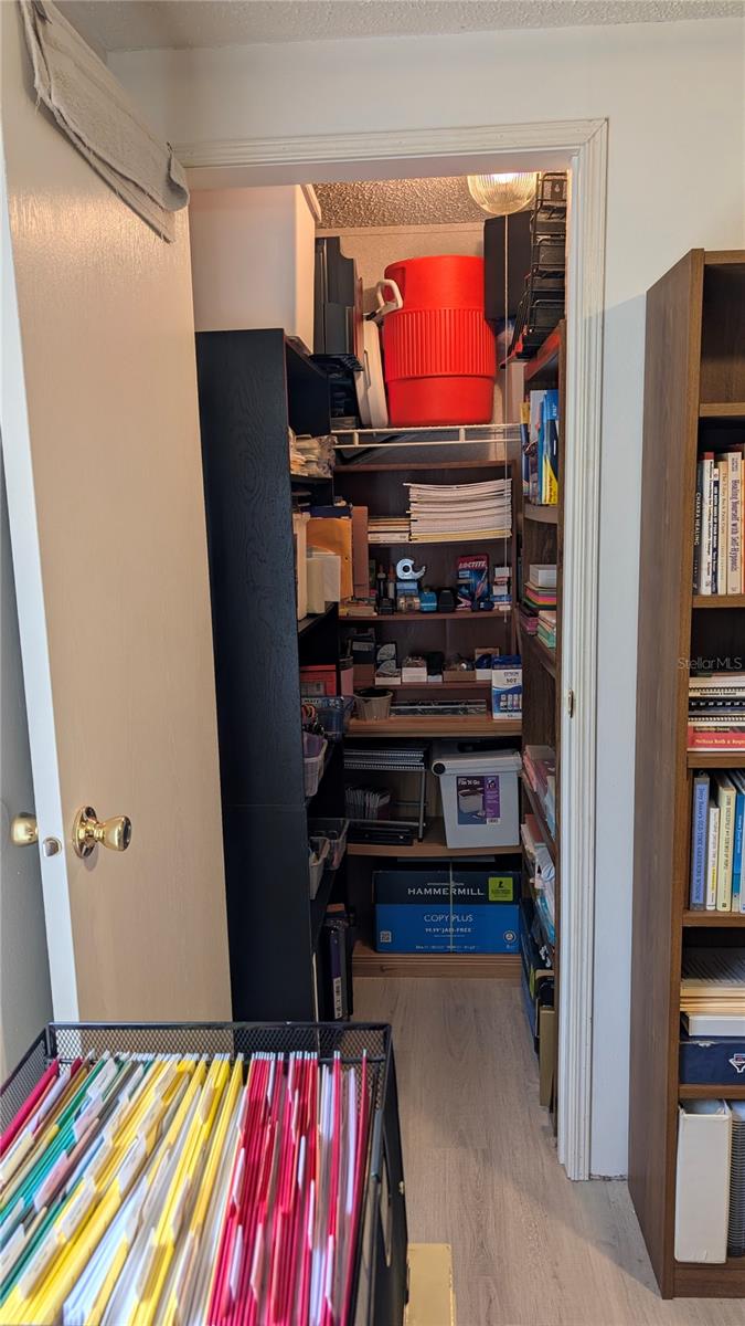 26341 DAYFLOWER BLVD, WESLEY CHAPEL, FL, 33544